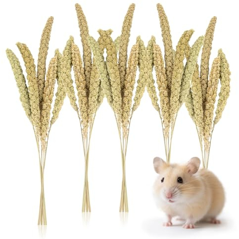 Sukh Hamster Millet Sprays - 30Pcs Natural Millets 12.6In Hamster Bedding Decor Cages and Habitats Accessories Spray for Dwarf Syrian Hamsters Chinchilla Squirrel and Birds