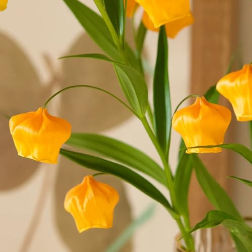 Semillas de Sandersonia aurantiaca, semillas de lirio de linterna, de interior silvestres decoración 120pcs