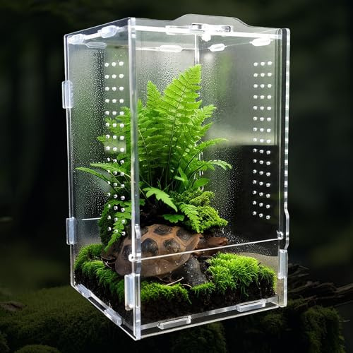 OMJMYY Terrarium Klein, 12 x 12 x 20 cm, Springspinne Terrarium, Acryl | Faunarium für Reptilien, Terrarium für Insekten, Spinnen, Schildkröte, Leopardgecko, Bartagame, Leguan, Fisch, Tarantel