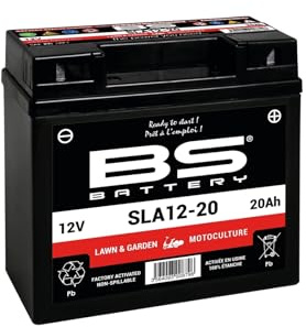 BS Battery SLA Battery for SLA12-20 / 12V 21.1Ah