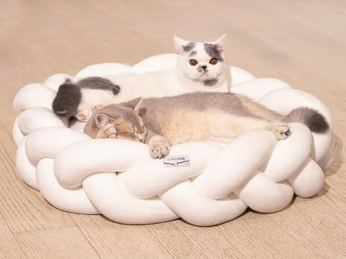 CheerPals Großes Katzenbett 60cm, Waschbar Geflochtenes Kuschelhöhle, Hundebett mit Hochelastischer Schlafkissen für Alle Katze und Kleine Hunde