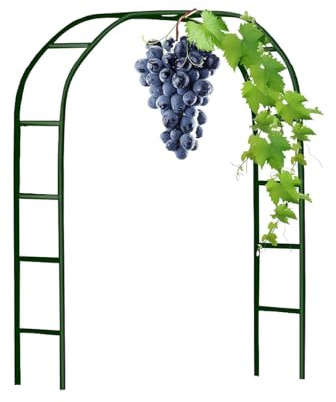 Pera Arche de jardin en métal – Arche de mariage en acier galvanisé robuste, support d'escalade, disponible en hauteur de 120 cm à 280 cm, finition verte (l 2 x H 2,30 m)