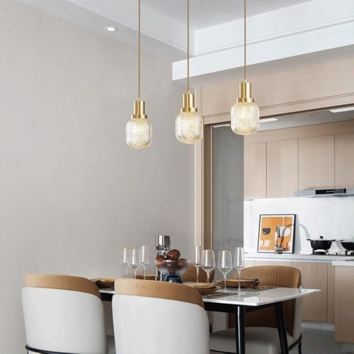 chaner G9 Light Source Single-Head Chaner, Personalized Glass Pendant Lamp Lampshade, Modern Industrial Hanging Light,Ceiling Chaner chaner