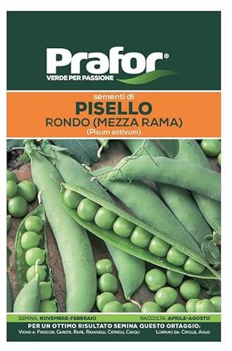 Hortus Semi prafor pisello gr.rug.Rondo m/rama BTS