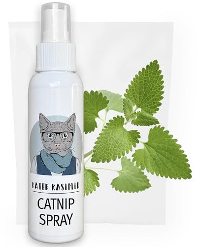 Kater Kasimir Botella XL de hierba gatera en espray para rascador, 100% natural, sin aditivos, Catnip Spray