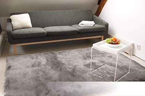 floor factory Exklusiver Hochflor Shaggy Teppich Satin Silber 120x170 cm - edler, seidig glänzender Teppich