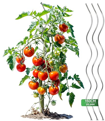 Tomatenspirale 150 cm – 10 Stück Tomatenstäbe aus Stahl Ø 5,6 mm, stabile Pflanzenstütze für Tomaten & Kletterpflanzen, wetterfest für Garten & Gewächshaus