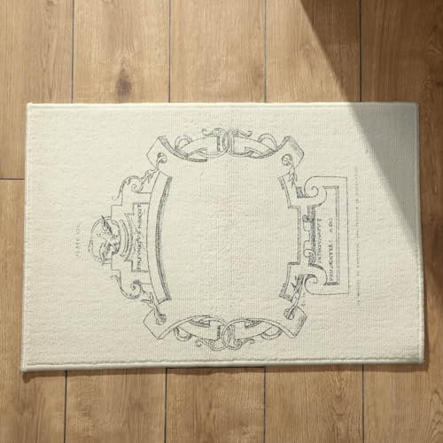 EHOMERY Zerbino Ingresso Esterno Tappeto Esterno Modello retrò Zerbino Pulisci Scarpe da Esterno Tappetini Bagno Antiscivolo 45x75cm