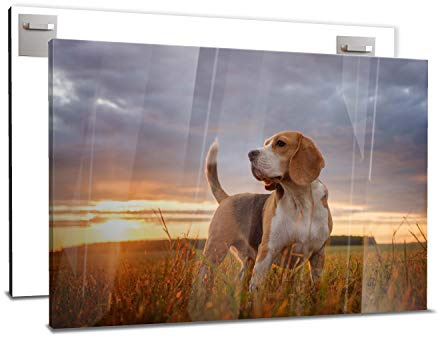 wandmotiv24 Ihr Foto auf Acrylglas 75 x 50 cm (BxH) - Querformat - Acrylglas SOFORT ONLINE VORSCHAU, personalisiertes Wandbild, Acrylbild, Glas Bild gestalten, personalisierte Foto-Geschenke