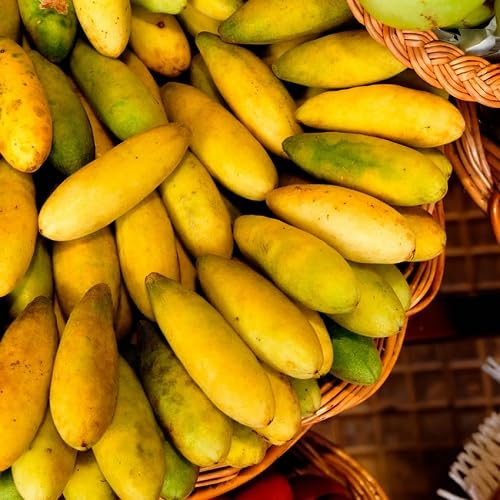 60pieces Yellow Banana Passion Fruit Seeds