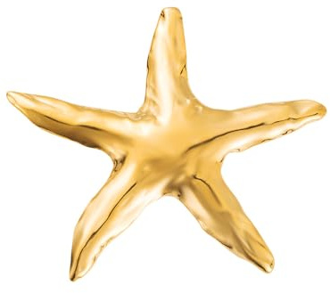 Broche Étoile De Mer Pour Femme Or Plaqué Acier Inoxydable Accessoire Élégant Pour Robe Manteau Ou Veste Cadeau Anniversaire Style Marin Plage Bijou Mode Fête De Cérémonie