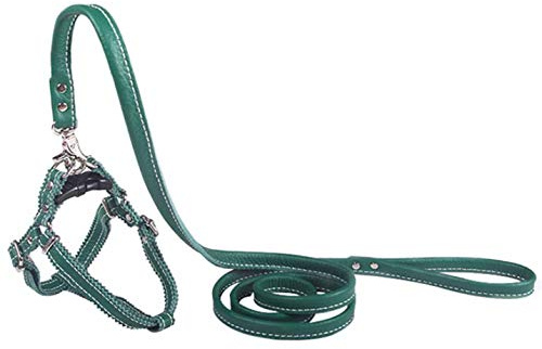 Hundegeschirr Kleine Hunde Leder Verstellbar feiling Hundegeschirr Welpen Brustgeschirr Haustier Ausbruchsicher Katzengeschirr Ledergeschirr Weichem mit 1.3m Hundeleine Leder (Grün)