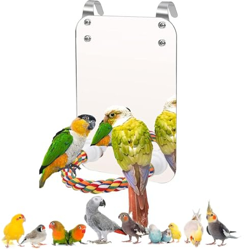 Norhogo Miroir en Acrylique pour Perroquets - Avec Perchoir et Support pour Cage - Corde Avec Miroir - Jouet pour Perruches, Gris du Gabon et Conures
