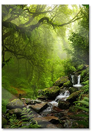 Pixxprint Glasbild, Wandbild aus Echtglas, Kleinder Wasserfall im Dschungel, 60x80 cm, inkl. Aufhängung und Abstandshalter