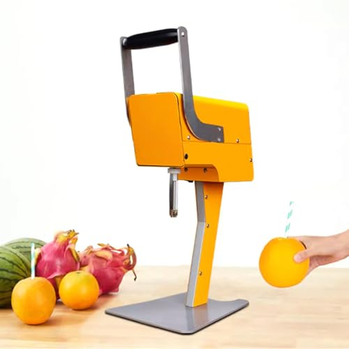 VNNHGB Extracteur de jus Professionnel, Machine à jus Frais à Boire Directement, avec Vide-Pomme et Doubles Lames, sans épluchage, Convient aux Fruits d'un diamètre de Φ88 à 120 mm