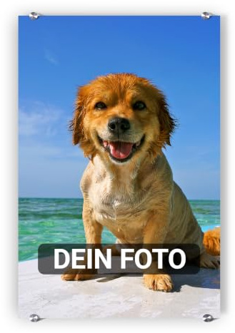 artboxONE Pixum Acrylglas 60 x 40 cm (hoch) eigenes Foto als Acrylglas - Acrylglasbild mit Wunschmotiv - Personalisierbares Geschenk