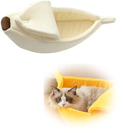 PYAILI Stoviglie per Feste 121 Pezzi Giallo Mandarino Festa della Addobbi Ragazza di Compleanno dei Dambini Articoli per Feste Set Include Piatto Carta Party Tazze Tovaglioli -24 Ospiti