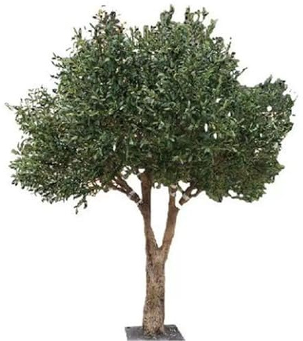 Olivo Artificial en Maceta, con Tronco de plástico y Frutos realistas for decoración de Interiores.(1mx0.9m)