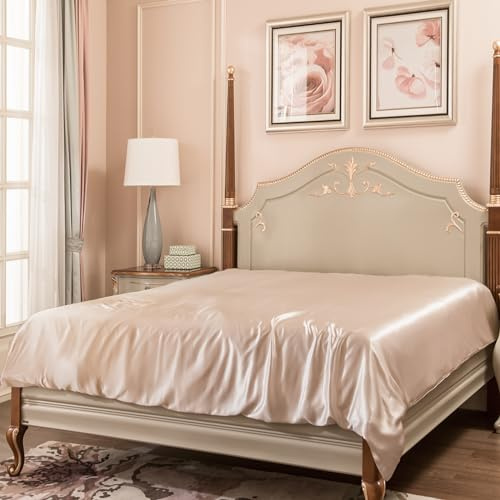 PROMEED 100% Mulberry Silk Duvet Cover Queen Size, Real Grade 6A+ 23 Momme Silk Quilt/Comforter Cover with Zipper and Coner Tie (Champagne, Queen)
