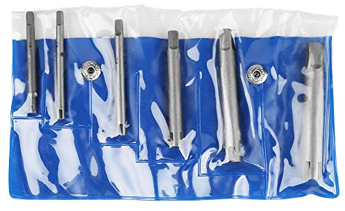 Tiiyee Extractor de Machos Rotos,Extractors Macho Rosca Cabeza Rota Juego Extractores Tornillos Set Extractore Grifos Pelados Grifería Removedor Stripped Golpecito Tornillo Conjunto para Pernos(6Pcs)