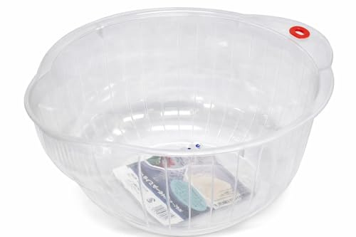 INOMATA 805 Japanese Bowl, 9-3/4-Zoll, Klar