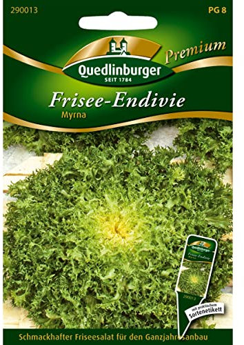Frisee-Endivie, Myrna
