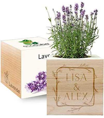 Gravierter EcoCube Blumenrahmen (Lavendel)