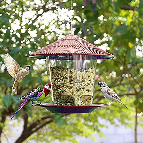 Harupink Comedero para pájaros para colgar, comedero para pájaros para colgar, resistente a la intemperie, silo de comida a prueba de ratas, comedero de plástico para pájaros, adecuado para jardín