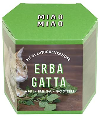 Resetea Kit di autocoltivazione Erba gatta, Miao Miao