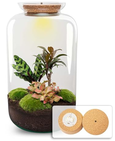 urbanjngl - Sven XL Palm Terrarium mit Licht - DIY Kit für Pflanzenökosystem - Ø 23 cm, Höhe 43 cm - Ideal für Zimmerpflanzen und kreative Gestaltung
