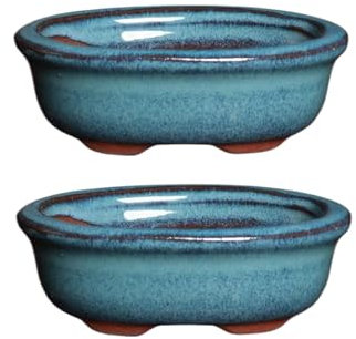 Wensmy 2pcs Glazed Bonsai Pots Ceramic Succulent Flower Pot Vintage Bonsai Mini Glazed Pots Succulent Planter Pot With Drainage Cactus Flower Container Bowl Garden Decoration