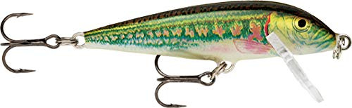 Rapala - CountDown un leurre pour cibler les poissons suspendus comme les truites, saumons, perches, sandres, black bass et brochets en eau douce 9cm, 12g coloris Minnow