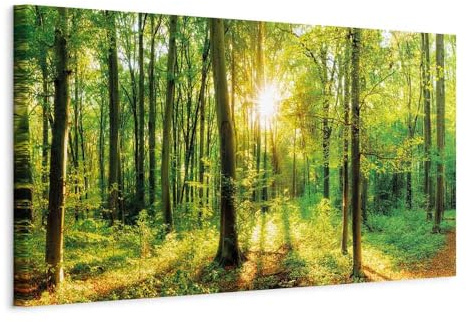 B&D XXL - Wandbilder XXL Wald 120x40 cm 1 tlg Wand Deko Leinwand Bilder Groß Wanddeko Wohnzimmer Schlafzimmer Kunstdrucke Panoramabild - Waldlandschaft Natur Panorama Baum c-B-0184-b-a