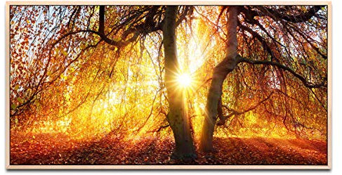 goldene Sonnenstrahlen ca. 130x70cm Wandbild inklusive Schattenfugenrahmen naturfarbend - Panorama Leinwand Bild XXL Format Wandbilder Wohnzimmer Wohnung Deko Kunstdrucke