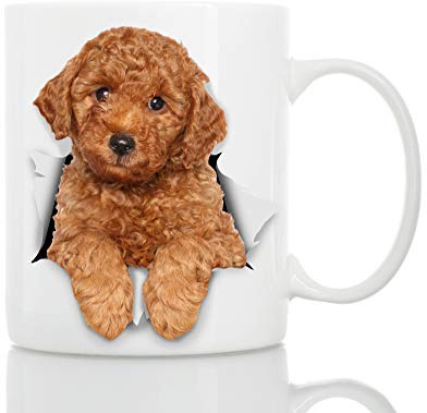 Taza de Perro Caniche Rojo Divertido - Taza Caniche Rojo de Cerámica para Café - Regalo Perfecto sobre Perro Caniche - Divertida y Bonita Taza de Café para Amantes de los Perros