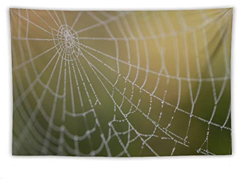 flechr Spinnennetz, Spinnennetz, Tautropfen, Tau, nasses Netz, Tapisserie, coole Kunstwerke, Malerei, Wandkunst, Polyesterdrucke, hängendes Bild, Heimdekoration, Wandteppich, Geschenkidee, 101,6 x
