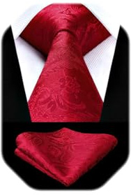HISDERN Herren Hochzeit Krawatten und Einstecktuch Set Paisley Krawatte Jacquard Einfarbige in Verschiedenen Farben