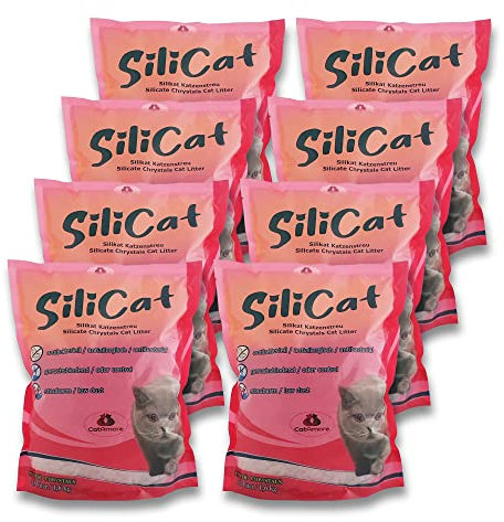 CatAmore Silicat Silikat Katzenstreu - 8 x 3,8 l (30 l) | Hochabsorbierend, staubfrei, geruchsbindend, antibakteriell | Nicht klumpend, für empfindliche Katzen geeignet