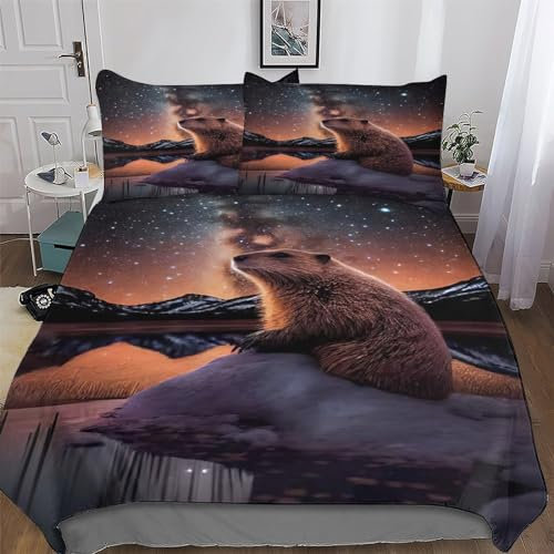 AAPZY Biber Bettwäsche Premium Atmungsaktive Angenehme Bettbezüge, Mikrofaser Bettdeckenbezug, Für Jungen Mädchen 3teilig Bettbezug + Kissenbezug King (220x240cm)