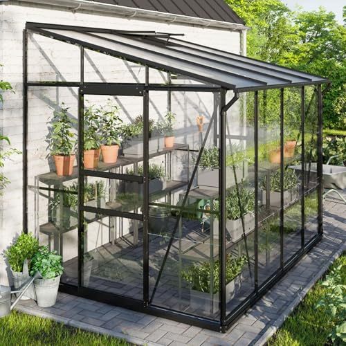 Vitavia Anlehn-Gewächshaus Ida 5200, schwarz, 5,2 m², 3 mm ESG/6 mm HKP | Wetterfestes & stabiles Wand-Gewächshaus zur Pflanzenanzucht | Ideales Treibhaus für Gemüse, Kräuter & Blumen