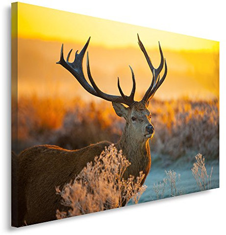 Feeby, Leinwandbild, Bilder, Wand Bild, Wandbilder, Kunstdruck 80x120cm, Hirsch, Tier, Wald, Natur, Sonnenuntergang
