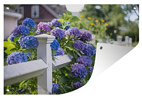 MuchoWow Outdoor-Poster Poster Wanddeko draußen Deko Garten Gartenposter 60x40 cm Lattenzaun mit Hortensien
