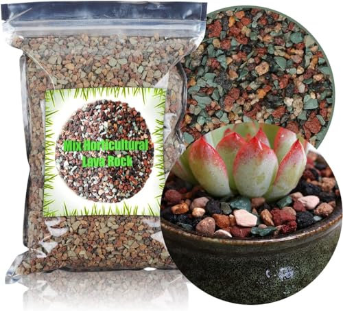 GOTVUGE Horticultural Lava Rock Mix, Pumice Succulent Cactus Natural Potted Bonsai Garden Gravel Top Dressing, 500g