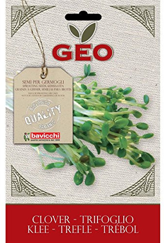 Geo Graine à Germer Trefle Brun 12,7 x 0,7 x 20 cm