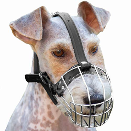 Hundemaulkörbe aus verchromtem Metall, verstellbare Lederriemen (Nr. 3). Der Umfang beträgt 19,8–23,8 cm, die Länge beträgt 8,3–9 cm