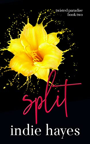 Split (Twisted Paradise Book 2)