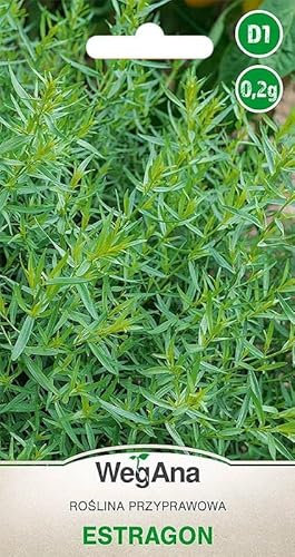 WegAna Semi di dragoncello 0,2 g Semi di erbe aromatiche Semi di ortaggi robusti, Semi di ortaggi, Semi per la coltivazione, Semi per la serra