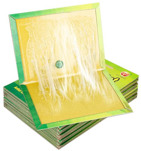 FONYA 10 Piezas Trampas Atrapar, 31.5 CM x 21 CM Pegamento Trampas, Trap, Trampas para Grandes Interior