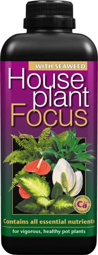 Houseplant Focus Concentrated Liquid Fertiliser, 1 Litre - Growth Technology Fertiliser for Indoor Plants - Professional Grade House Plant Food Concentrate with Kelp Seaweed Extract - Makes 200L