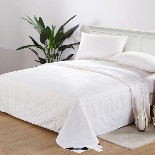 LilySilk 100% Silk Duvet/Comforter Queen, White, for Four Season, Machine Washable Long Strand Silk Quilt, 100% Cotton Cover 0.75kg, Queen 87x90